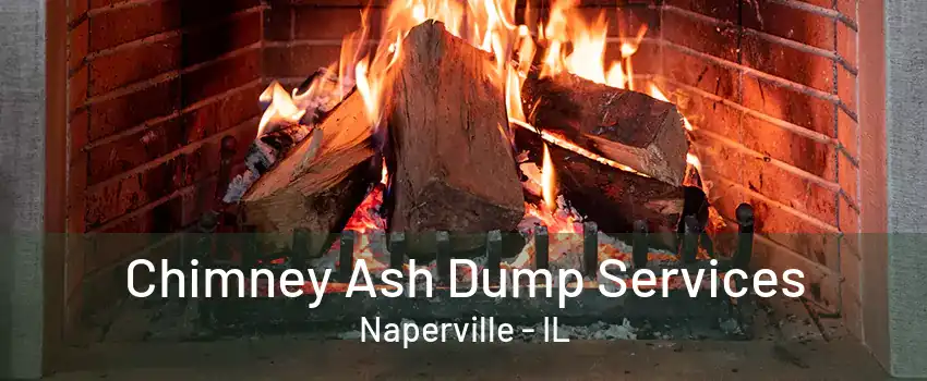 Chimney Ash Dump Services Naperville - IL