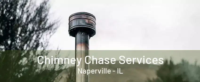 Chimney Chase Services Naperville - IL