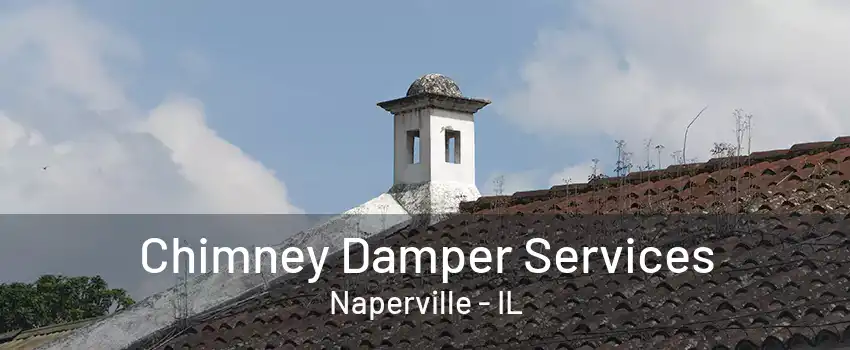 Chimney Damper Services Naperville - IL