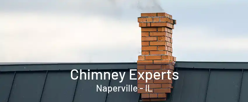 Chimney Experts Naperville - IL