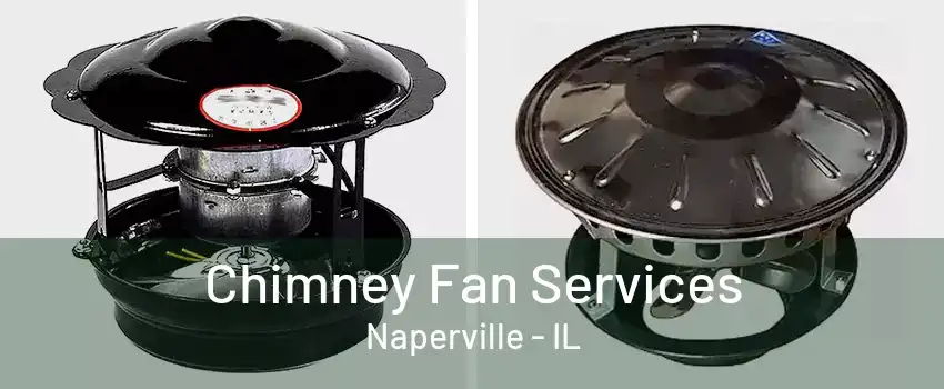 Chimney Fan Services Naperville - IL