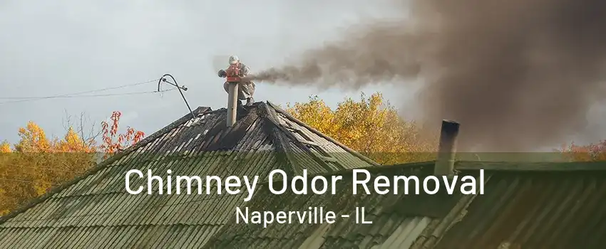 Chimney Odor Removal Naperville - IL