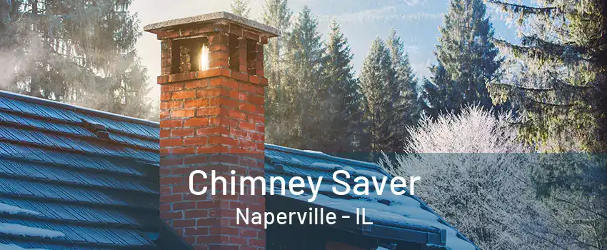 Chimney Saver Naperville - IL