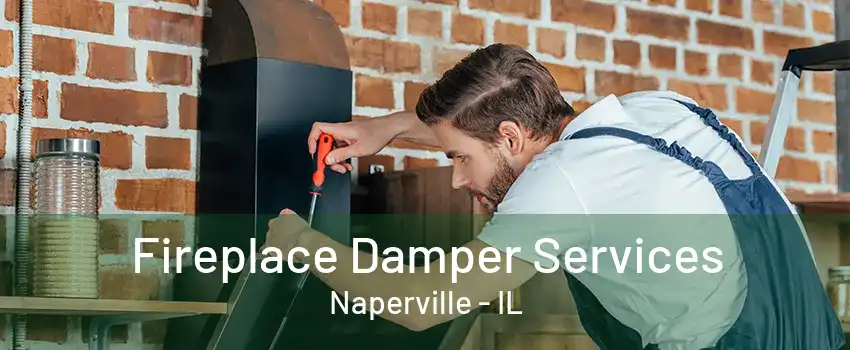 Fireplace Damper Services Naperville - IL