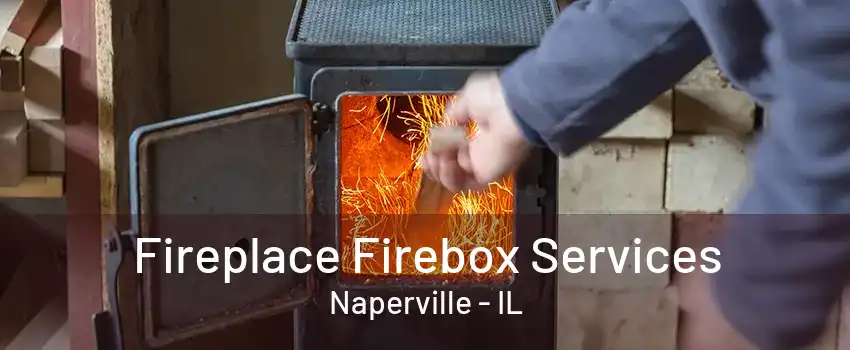 Fireplace Firebox Services Naperville - IL