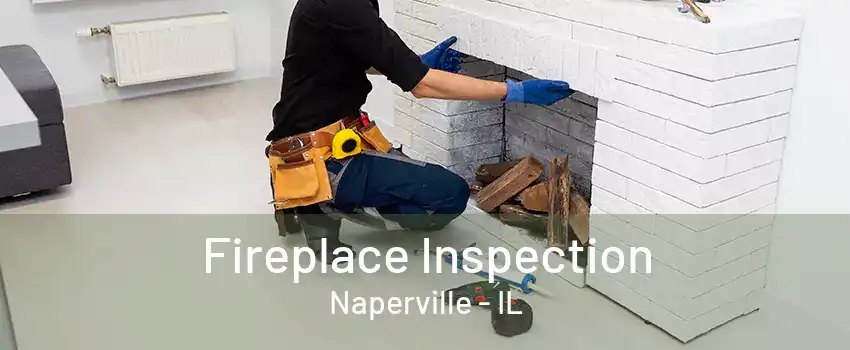 Fireplace Inspection Naperville - IL