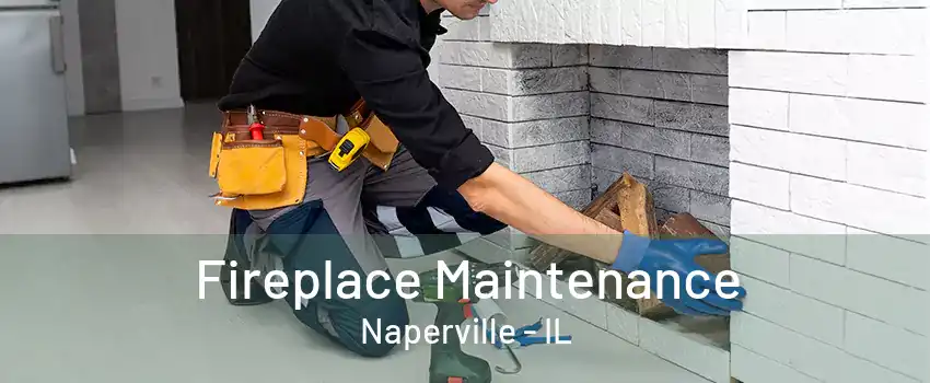 Fireplace Maintenance Naperville - IL