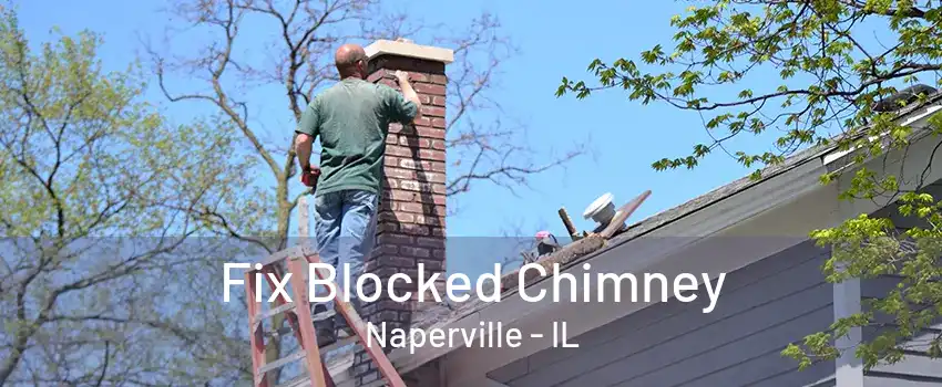 Fix Blocked Chimney Naperville - IL