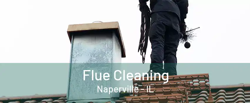 Flue Cleaning Naperville - IL