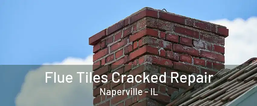 Flue Tiles Cracked Repair Naperville - IL