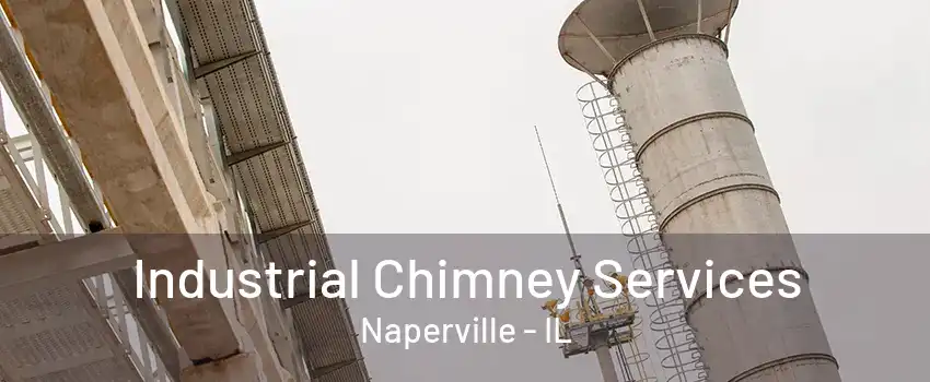 Industrial Chimney Services Naperville - IL