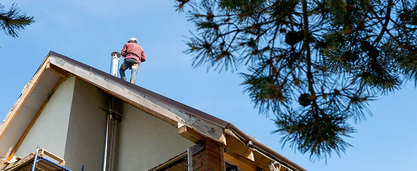 Birds Removal Contractors from Chimney in Naperville, IL