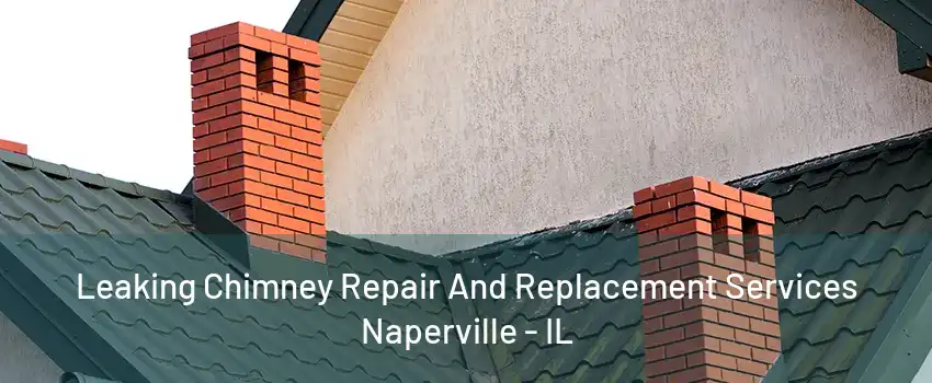 Leaking Chimney Repair And Replacement Services Naperville - IL