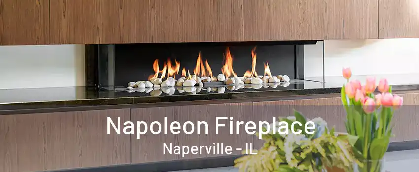 Napoleon Fireplace Naperville - IL