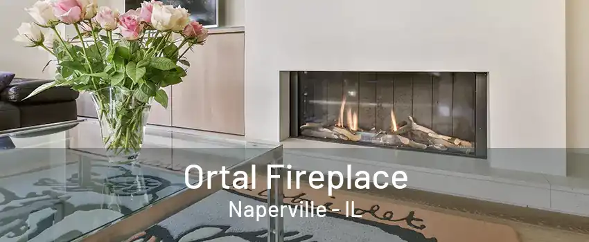 Ortal Fireplace Naperville - IL